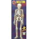 Airfix Skeleton model kit Airfix Skeleton model kit